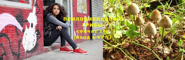 гашик Нефтегорск