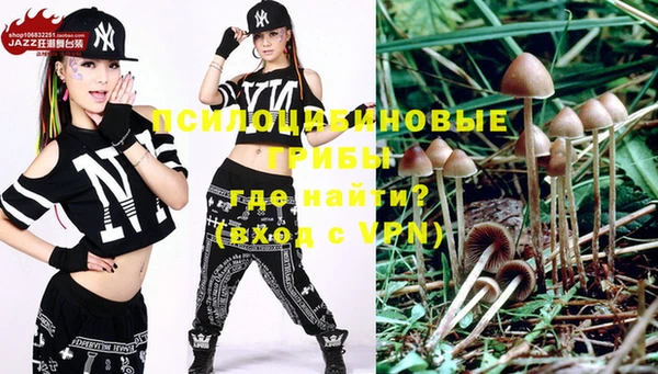 первитин Нея